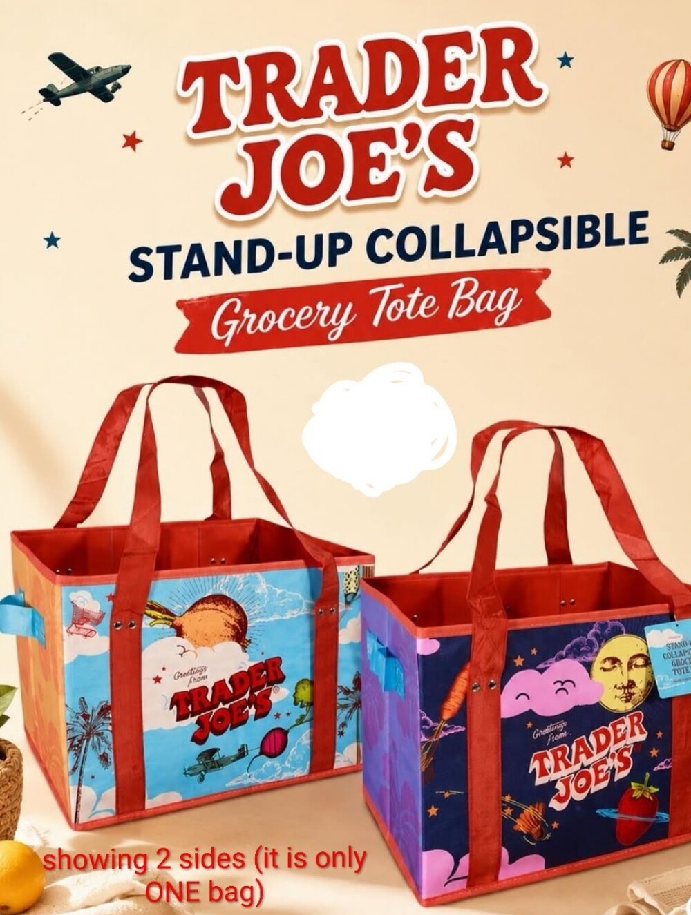 Trader Joe's Stand-Up Collapsible Grocery Tote Bag